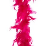 Party Planet Boa framboos rood 2 m 45 gr