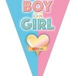 Party Planet Vlaggenlijn 5m 10 vlaggen Boy or Girl reveal
