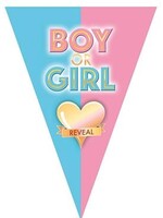 Party Planet Vlaggenlijn 5m 10 vlaggen Boy or Girl reveal