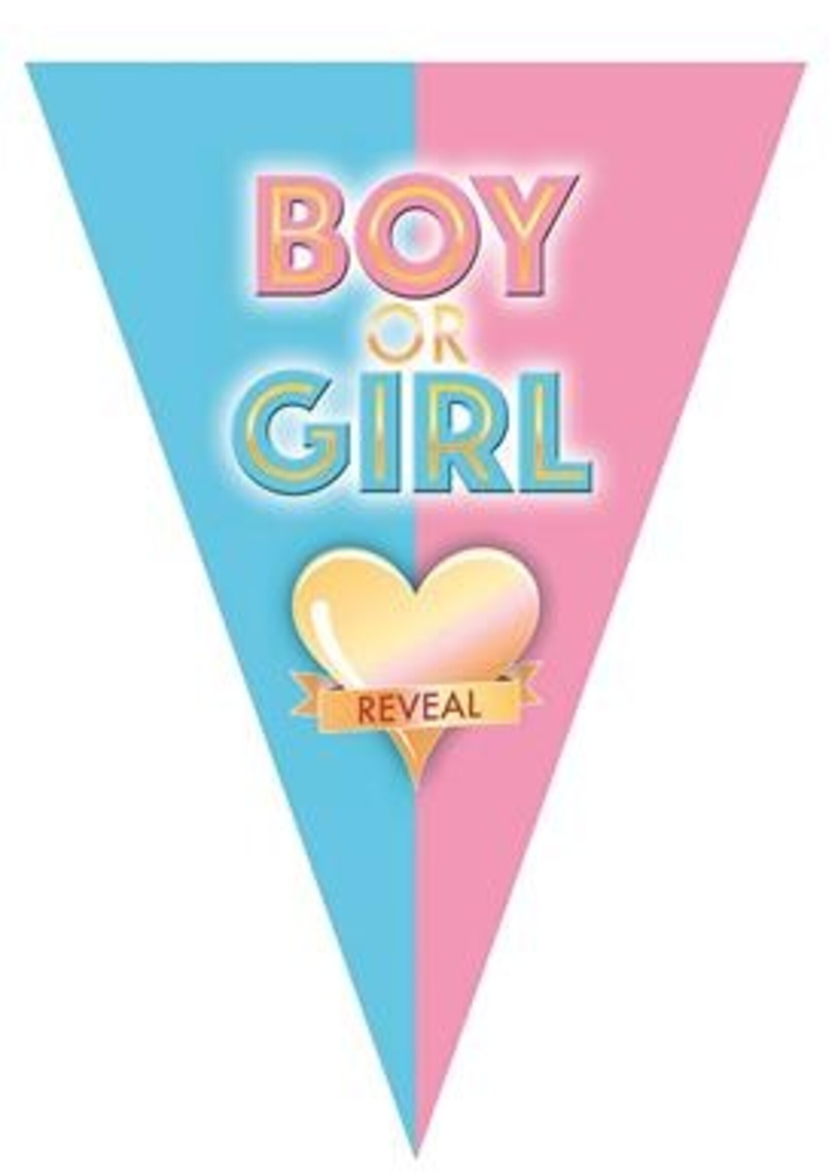 Party Planet Vlaggenlijn 5m 10 vlaggen Boy or Girl reveal