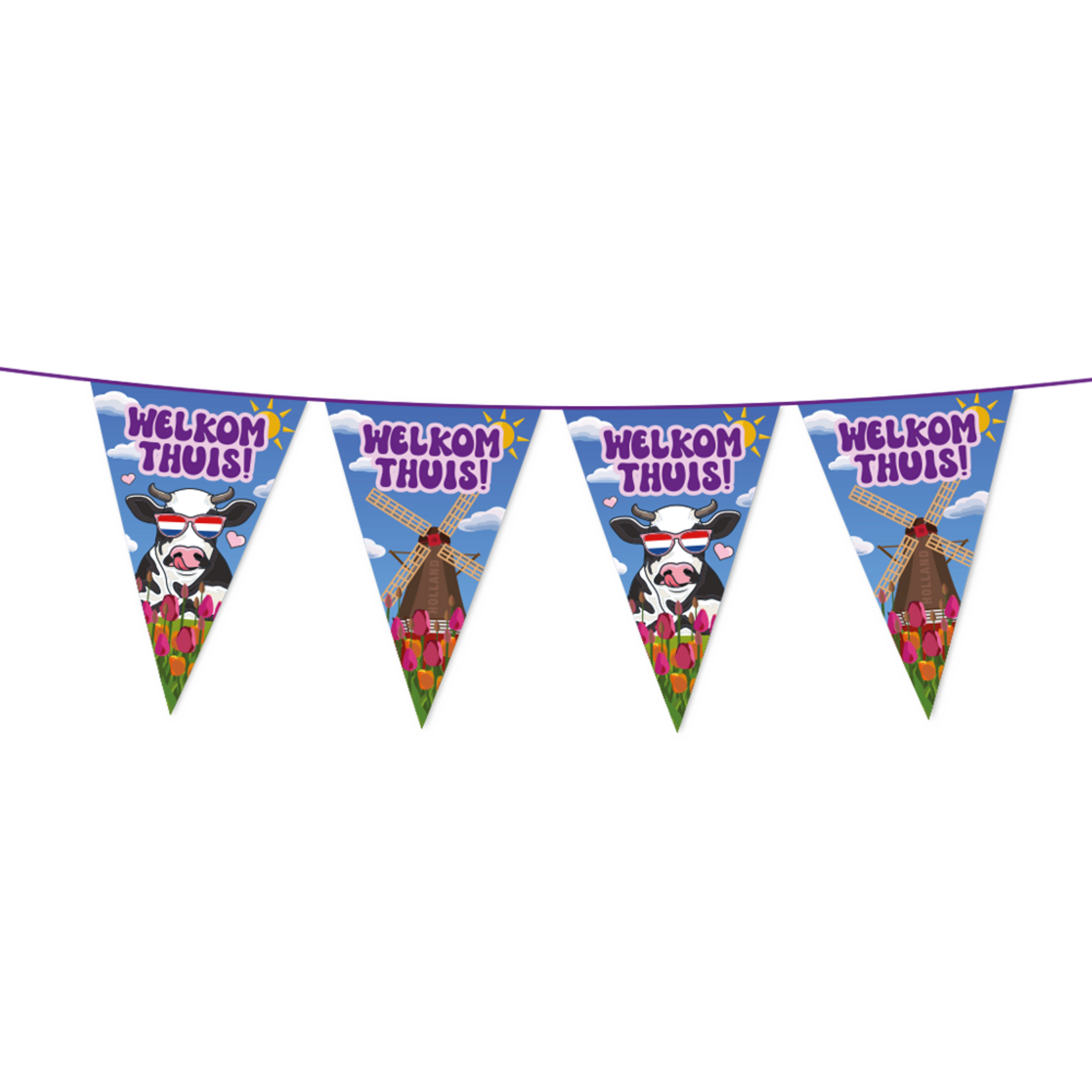 Party Planet Vlaggenlijn PET 10m– Welkom Thuis