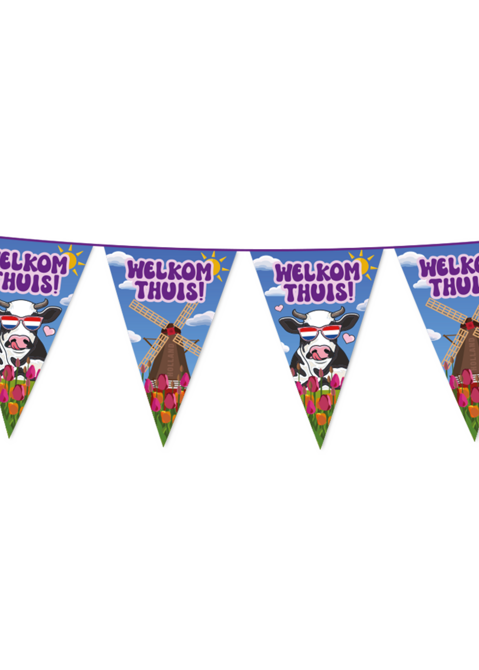 Party Planet Vlaggenlijn PET 10m– Welkom Thuis