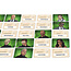 Codenames: Duet