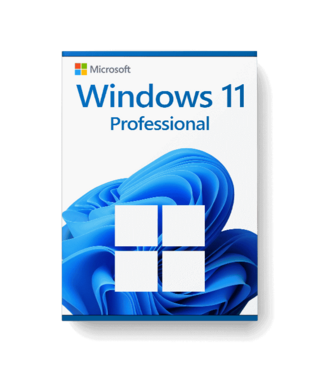 Microsoft Windows 11 Professional