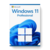 Microsoft Windows 11 Professional