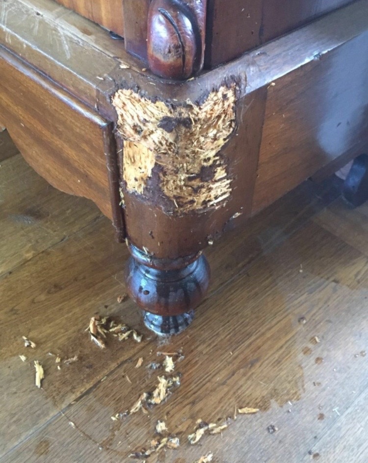 Hoek voor restauratie