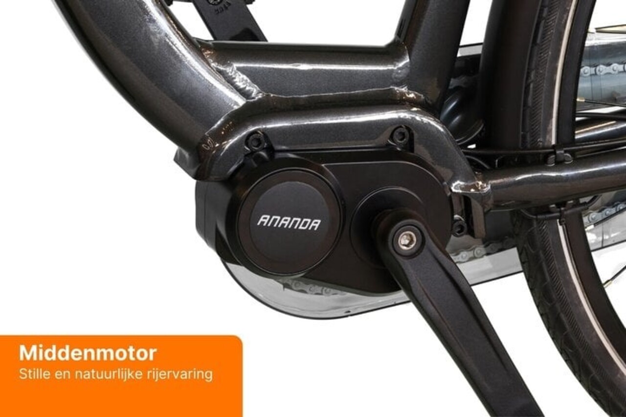 Altec Altec Montana Dames E-Bike V-Brakes Altec Altec Montana Dames E-Bike V-Brakes