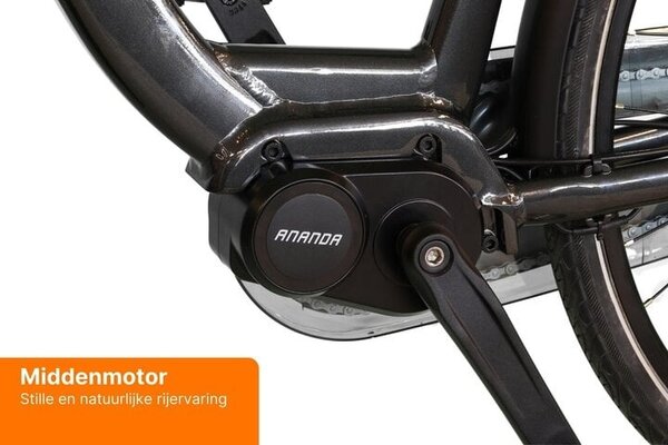 Altec Altec Montana Dames E-Bike V-Brakes Altec Altec Montana Dames E-Bike V-Brakes