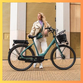 Elektrische Transportfiets