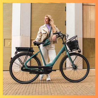 Elektrische Transportfiets