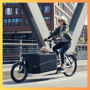 Elektrische Bakfiets