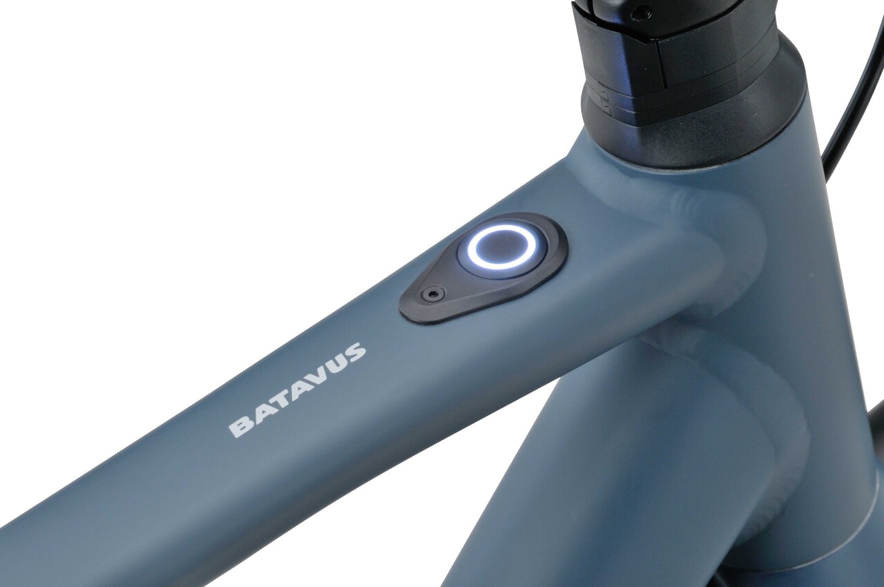 Batavus Batavus Liner E-Go Sport 250Wh Batavus Batavus Liner E-Go Sport 250Wh