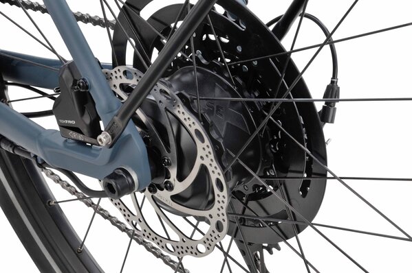 Batavus Batavus Liner E-Go Sport 250Wh Batavus Batavus Liner E-Go Sport 250Wh