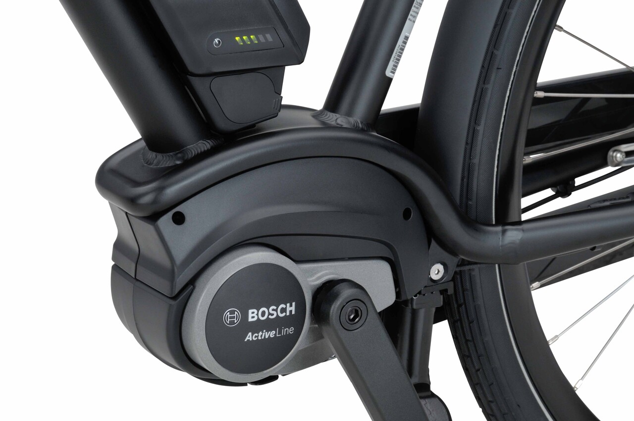 Batavus Batavus Quip Extra Cargo E-Go Plus Batavus Batavus Quip Extra Cargo E-Go Plus