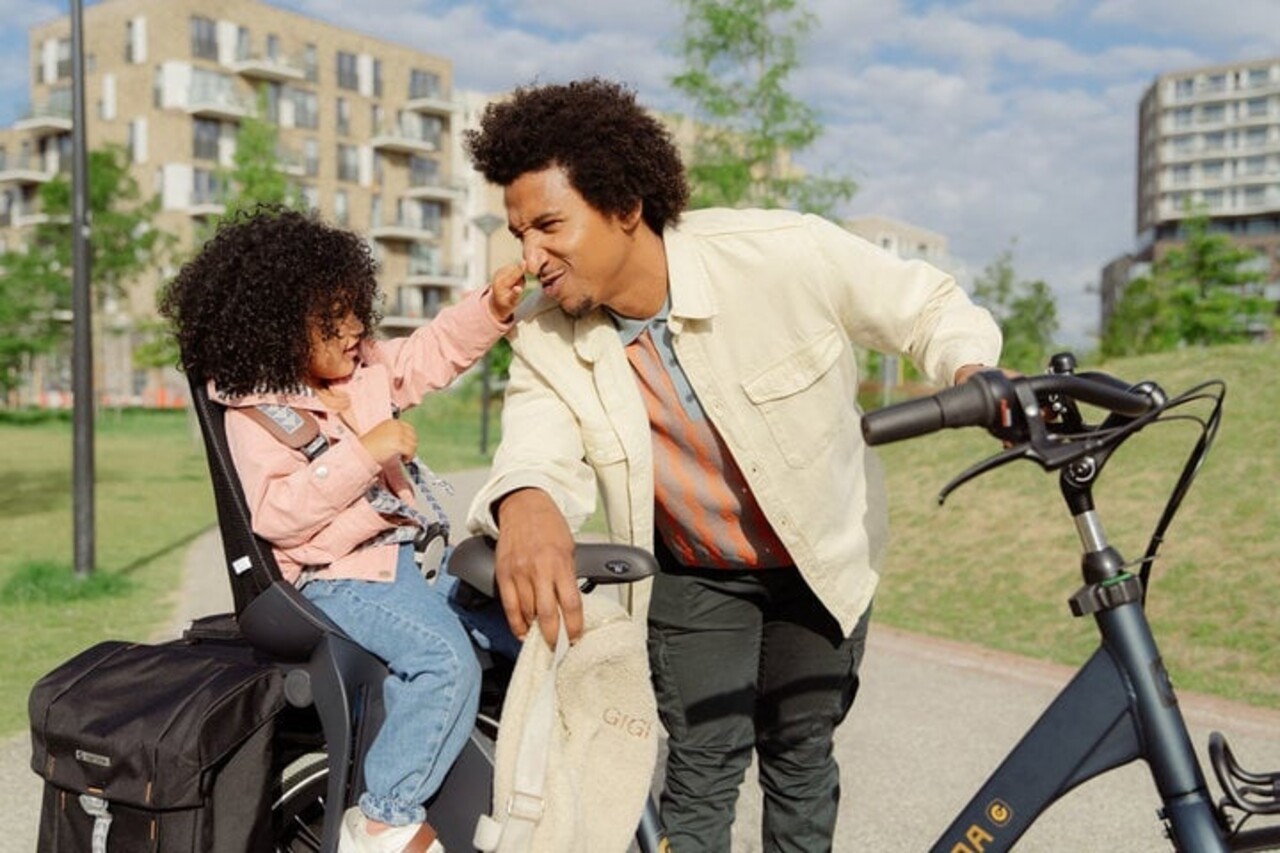 Cortina Cortina Common Family Moederfiets ND7 Cortina Cortina Common Family Moederfiets ND7