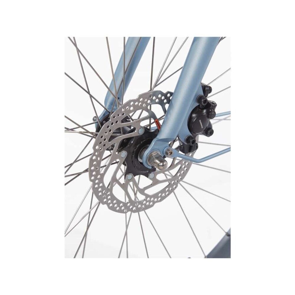 Cortina Cortina E-Nite Dames E-Bike DB7 Cortina Cortina E-Nite Dames E-Bike DB7