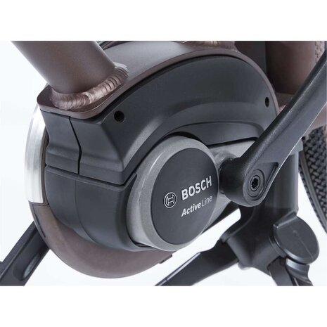 Cortina Cortina E-U4 Family Elektrische Damesfiets RB7 Active Line