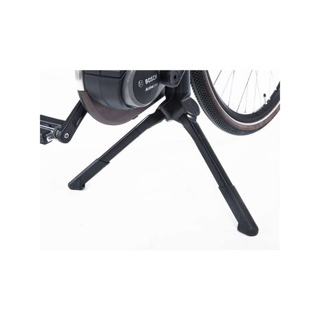 Cortina Cortina E-U4 Family Elektrische Damesfiets RB7 Active Line