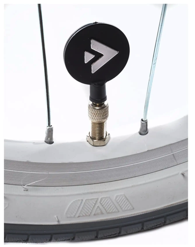 Alpina Alpina Ocean Meisjesfiets