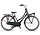 Altec Dutch Transportfiets Dames