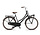 Altec Urban Transportfiets Dames