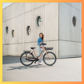 Elektrische Damesfiets