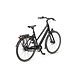 Batavus Batavus Senz Active Exclusive Dames Stadsfiets
