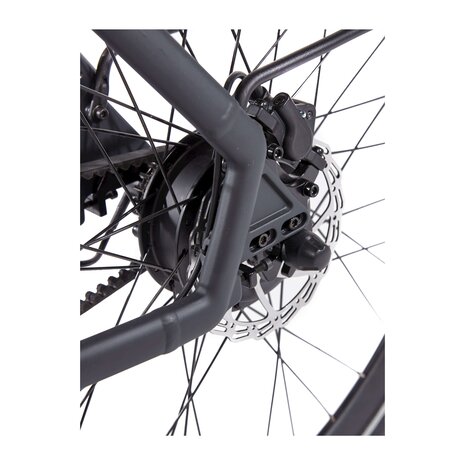 Cortina Cortina E-Lett Low E-Bike Dames Cortina Cortina E-Lett Low E-Bike Dames