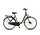 Altec Walesa Dames Stadsfiets N3