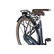 Altec Altec Trend Dames Stadsfiets Altec Altec Trend Dames Stadsfiets