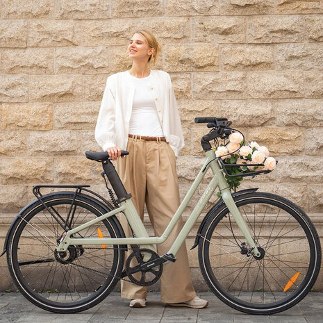 Fiido Fiido C700 Elektrische Stadsfiets Fiido Fiido C700 Elektrische Stadsfiets