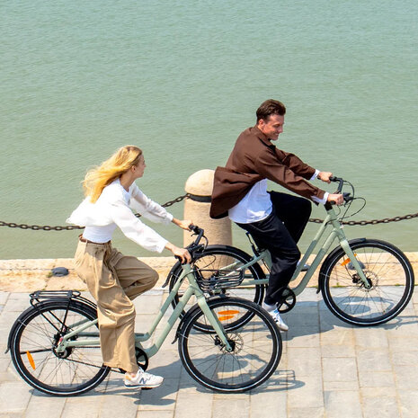 Fiido Fiido C700 Elektrische Stadsfiets Fiido Fiido C700 Elektrische Stadsfiets