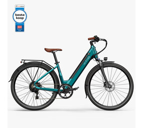 Fiido Fiido C11 Pro Urban E-Bike Fiido Fiido C11 Pro Urban E-Bike