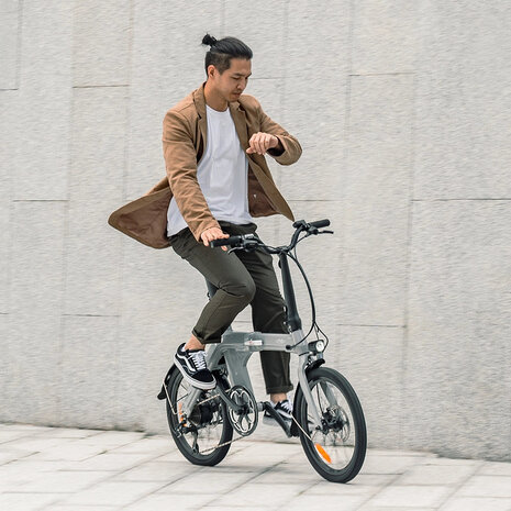 Fiido Fiido D11 Elektrische Vouwfiets Fiido Fiido D11 Elektrische Vouwfiets