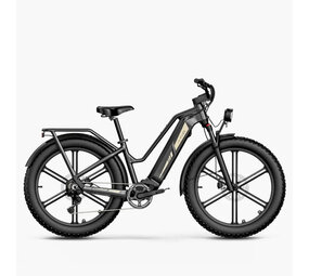 Fiido Fiido Titan Touring E-Bike Fiido Fiido Titan Touring E-Bike