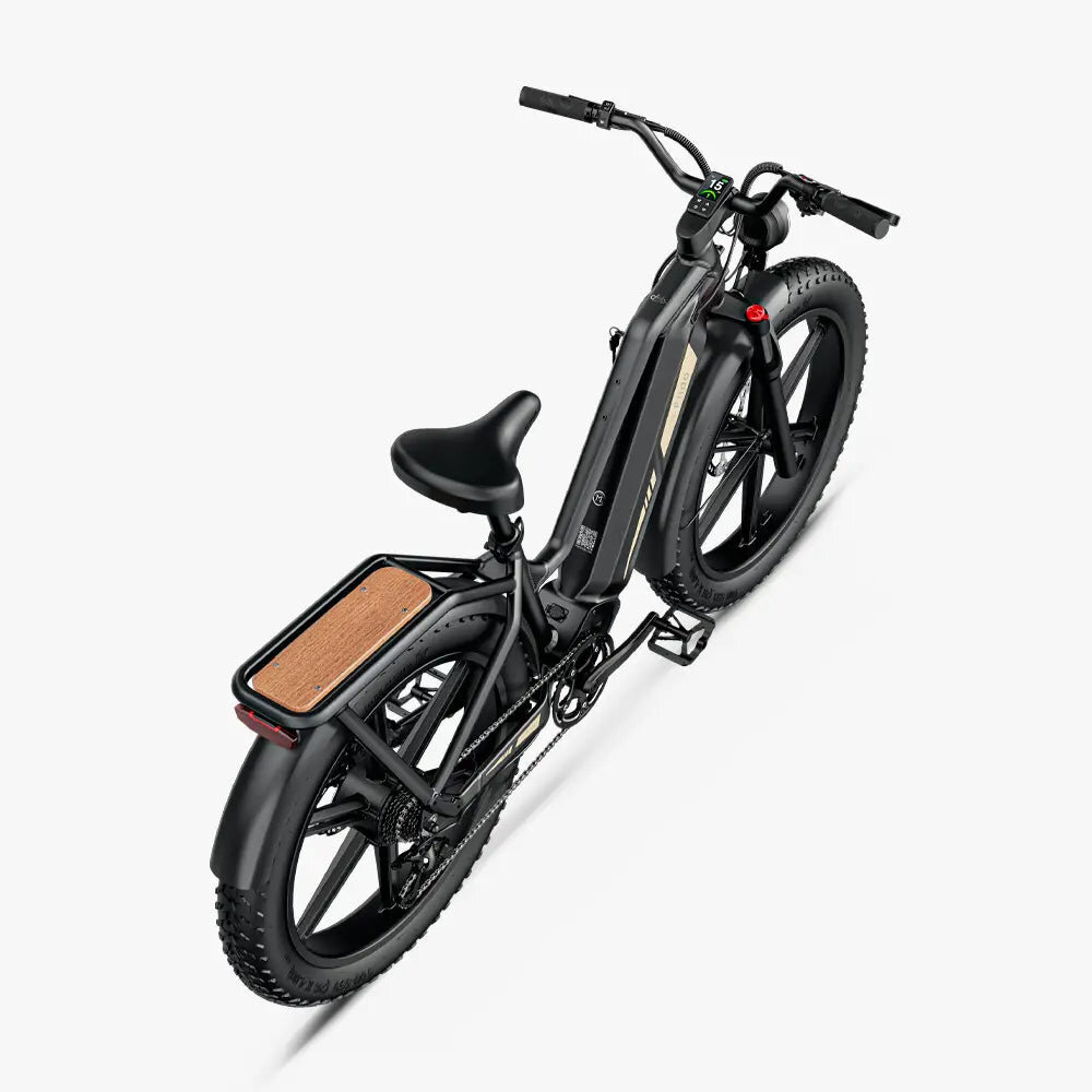 Fiido Fiido Titan Touring E-Bike Fiido Fiido Titan Touring E-Bike