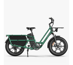 Fiido Fiido T2 Longtail Elektrische Fiets Fiido Fiido T2 Longtail Elektrische Fiets