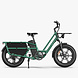 Fiido Fiido T2 Longtail Elektrische Fiets Fiido Fiido T2 Longtail Elektrische Fiets