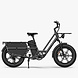 Fiido Fiido T2 Longtail Elektrische Fiets Fiido Fiido T2 Longtail Elektrische Fiets