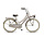 Altec Urban Transportfiets Kinderen 26 inch