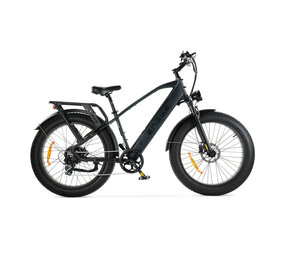 ENGWE ENGWE E26 Fatbike (2026) ENGWE ENGWE E26 Fatbike (2026)