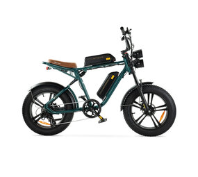 ENGWE ENGWE M20 Dubbele Accu Fatbike ENGWE ENGWE M20 Dubbele Accu Fatbike