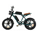 ENGWE ENGWE M20 Dubbele Accu Fatbike ENGWE ENGWE M20 Dubbele Accu Fatbike