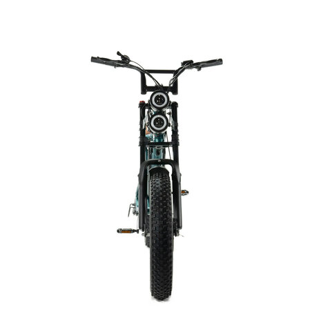 ENGWE ENGWE M20 Dubbele Accu Fatbike ENGWE ENGWE M20 Dubbele Accu Fatbike