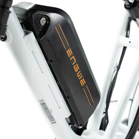 ENGWE ENGWE M20 Dubbele Accu Fatbike ENGWE ENGWE M20 Dubbele Accu Fatbike