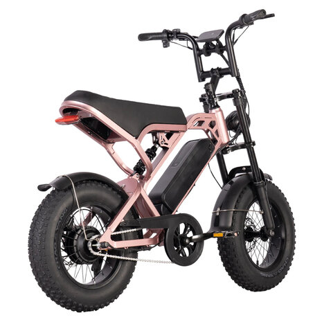 QM-Wheels QM-Wheels V20 Pro Mini Fatbike QM-Wheels QM-Wheels V20 Pro Mini Fatbike