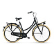 Batavus Batavus PACKD 3 Dames Transportfiets