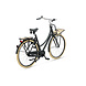 Batavus Batavus PACKD 3 Dames Transportfiets