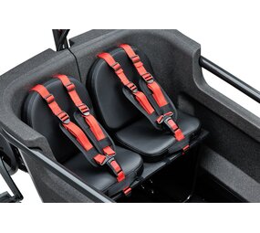 Batavus Batavus Zitkussen Bakfiets (Fier 2/3)