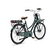 Altec Altec Troja Elektrische Transportfiets